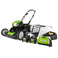 Greenworks glm801601 sale