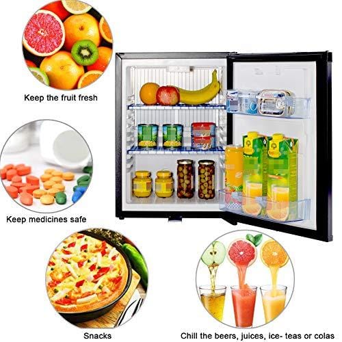 SMETA Electric 110V Mini fridge Freightliner Cascadia 12V Truck Refrig Ultra Pickleball