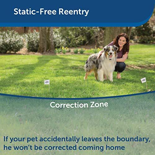  PetSafe Stay & Play Wireless Pet Fence Receiver Collar Only  for Dogs and Cats, Waterproof and Rechargeable, Tone and Static Correction  - From The Parent Company of INVISIBLE FENCE Brand 