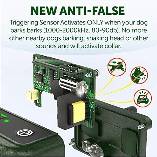 Tbi orders bark pro